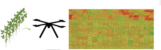 FACT: A Scalable Cyber Ecosystem for Acquisition, Curation, and Analysis of multispectral UAV image data