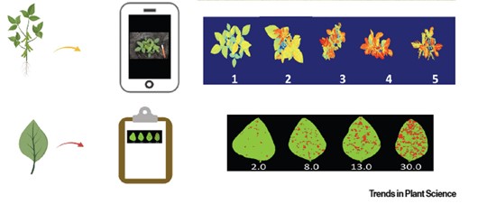 Using Engineering tools to identify and quantify biotic and abiotic stress in soybean for customable agriculture production
