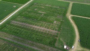 aerial view of agronomic crops test plots