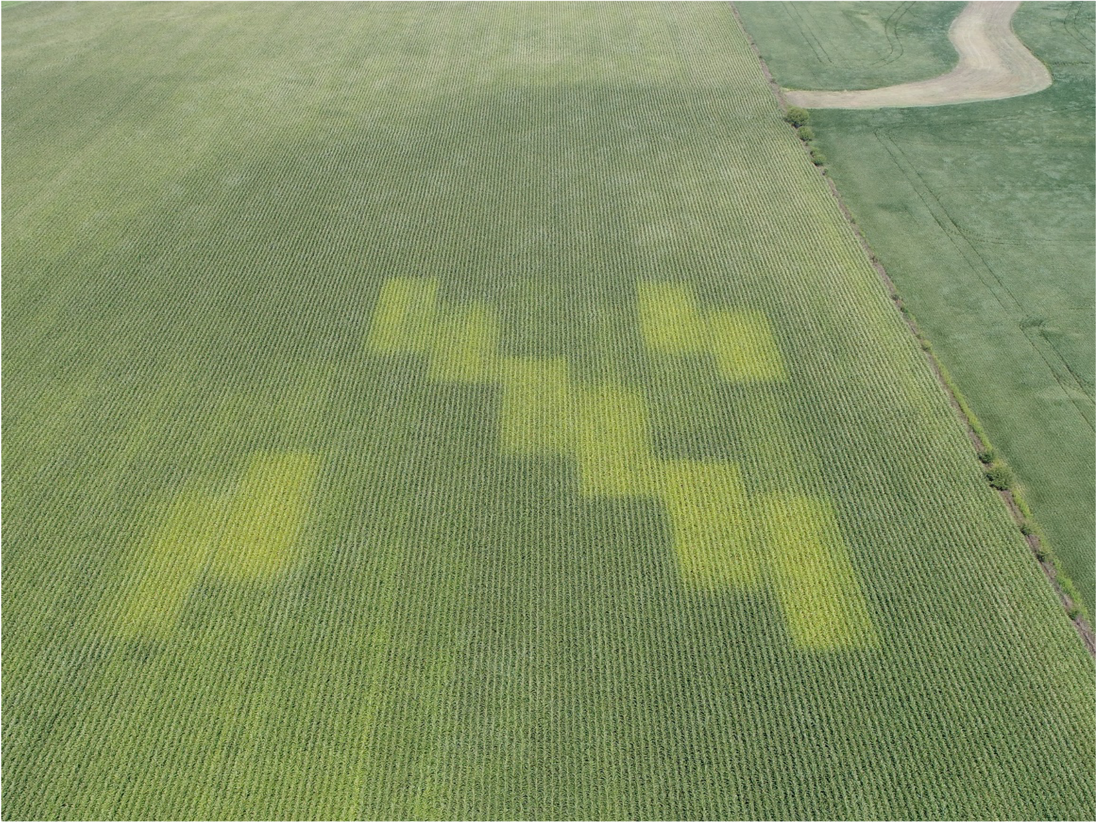Aerial view of nitrogen test plots in a field