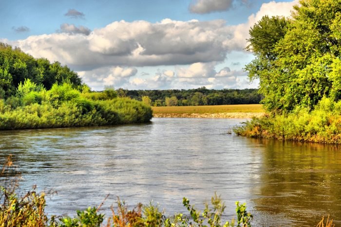 Skunk River with trees along the banks and crops ahead