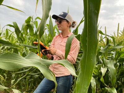 Elzabeth Tranel scouting in a corn field