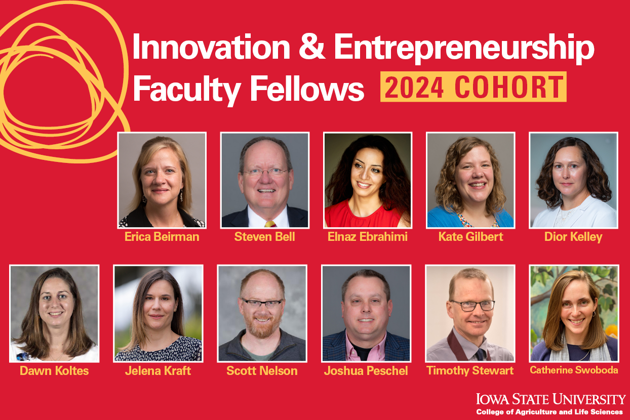 Innovation and Entrepreneurship Faculty Fellows cohort 2024